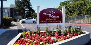 Cherry Blossom Estates